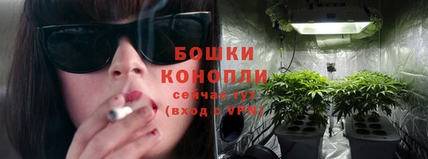 спайс Вяземский