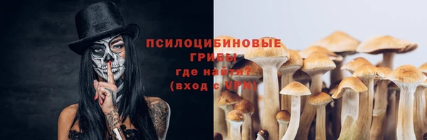 спайс Вяземский