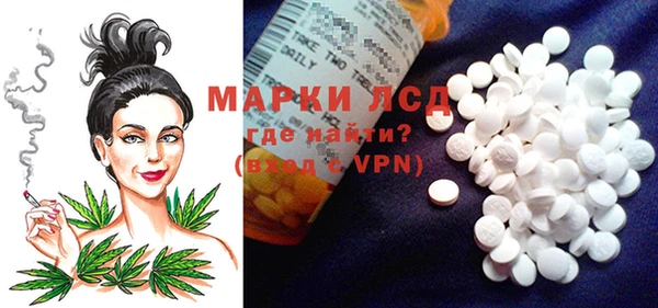 спайс Вяземский