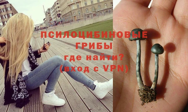 спайс Вяземский