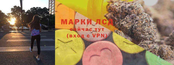 СК Вязьма