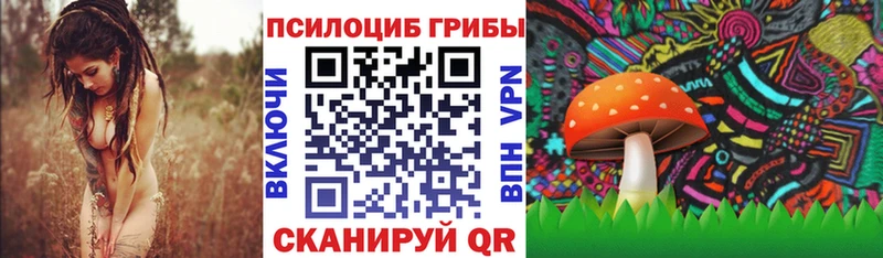 Псилоцибиновые грибы ЛСД  Купить закладки  Клинцы 